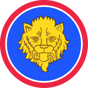 106th ID Divisional Patch